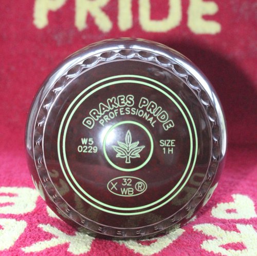 PROFESSIONAL W50229 1H